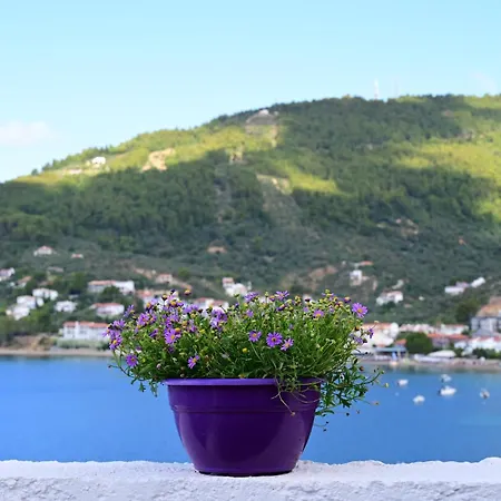 Lägenhet Thama Of 2 Skiathos stad